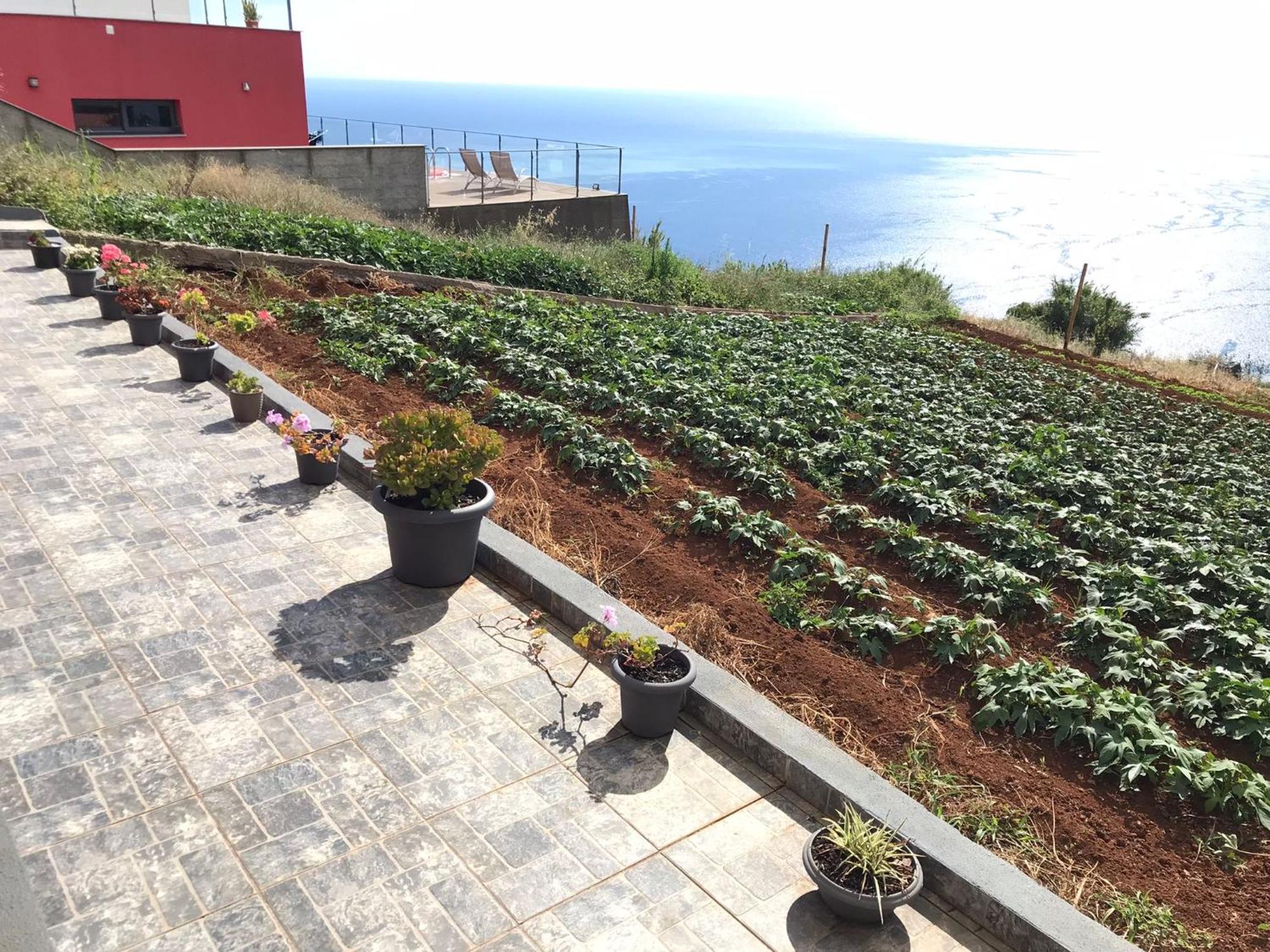 Villa Palheirinho Da Achada à Arco da Calheta  Extérieur photo